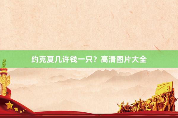 约克夏几许钱一只?高清图片大全