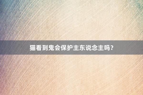猫看到鬼会保护主东说念主吗？