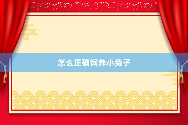 怎么正确饲养小兔子